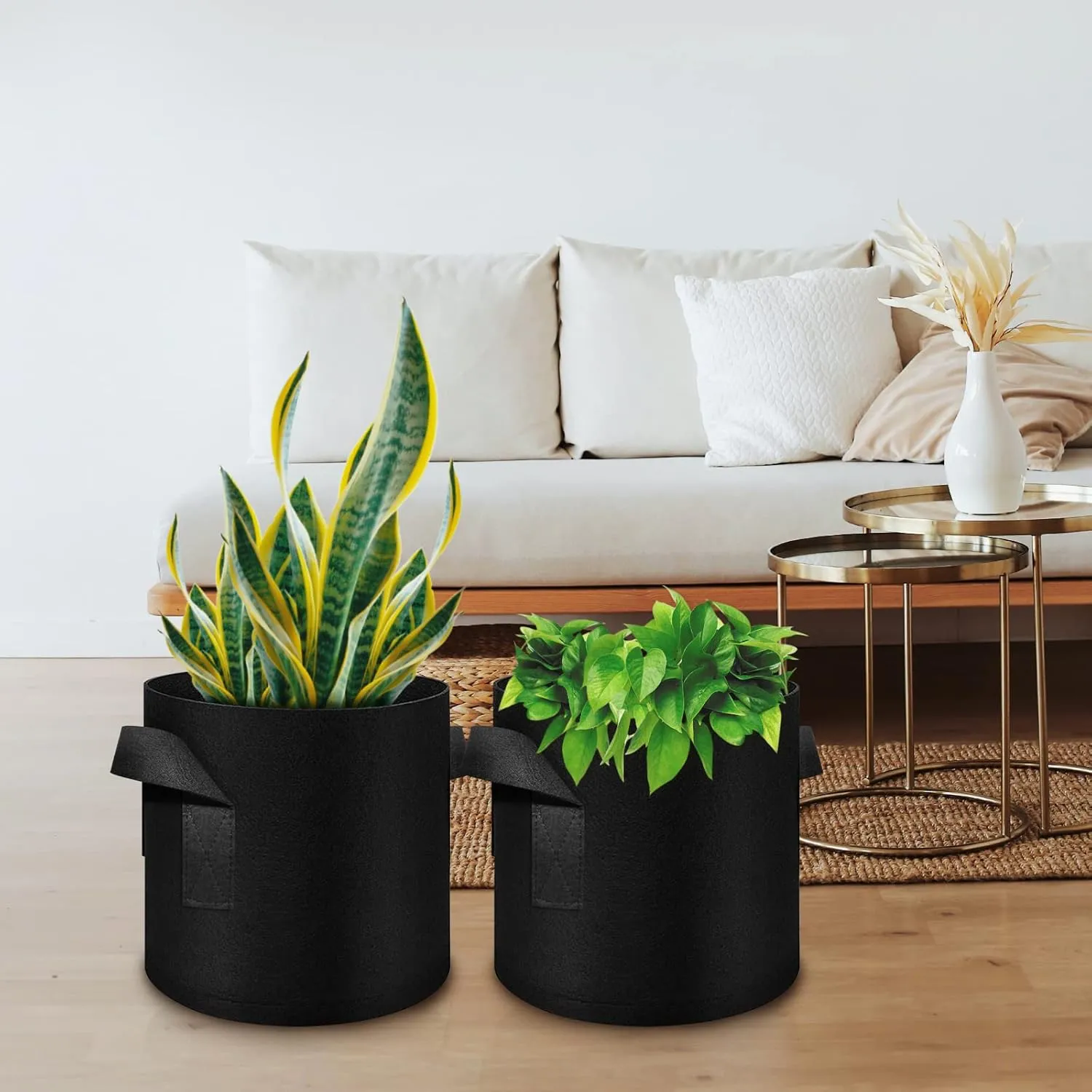 12 Pack 3 Gallon Plant Grow Bags, Thickened Nonwoven Fabric Pots with Handles, Vegetable Planter Bags Containers, Cloth Planters for Garden Vegetable/Flower/Plant/Fruits Outdoor (Black)