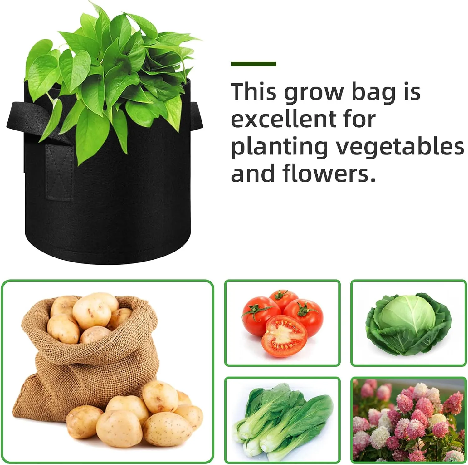 12 Pack 3 Gallon Plant Grow Bags, Thickened Nonwoven Fabric Pots with Handles, Vegetable Planter Bags Containers, Cloth Planters for Garden Vegetable/Flower/Plant/Fruits Outdoor (Black)