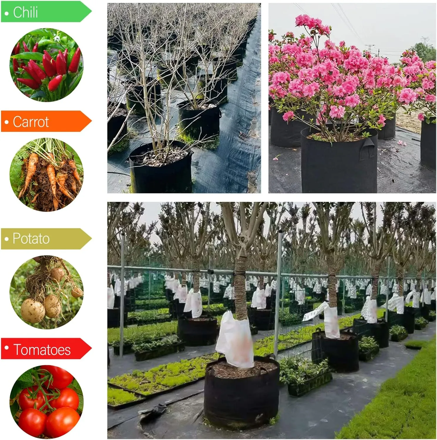 12 Pack Grow Bags 10 Gallon, 300G Heavy Duty Thickened Non-Woven Plant Bag Plant Fabric Pots with Handles Planting Bags, Pot for Plants
