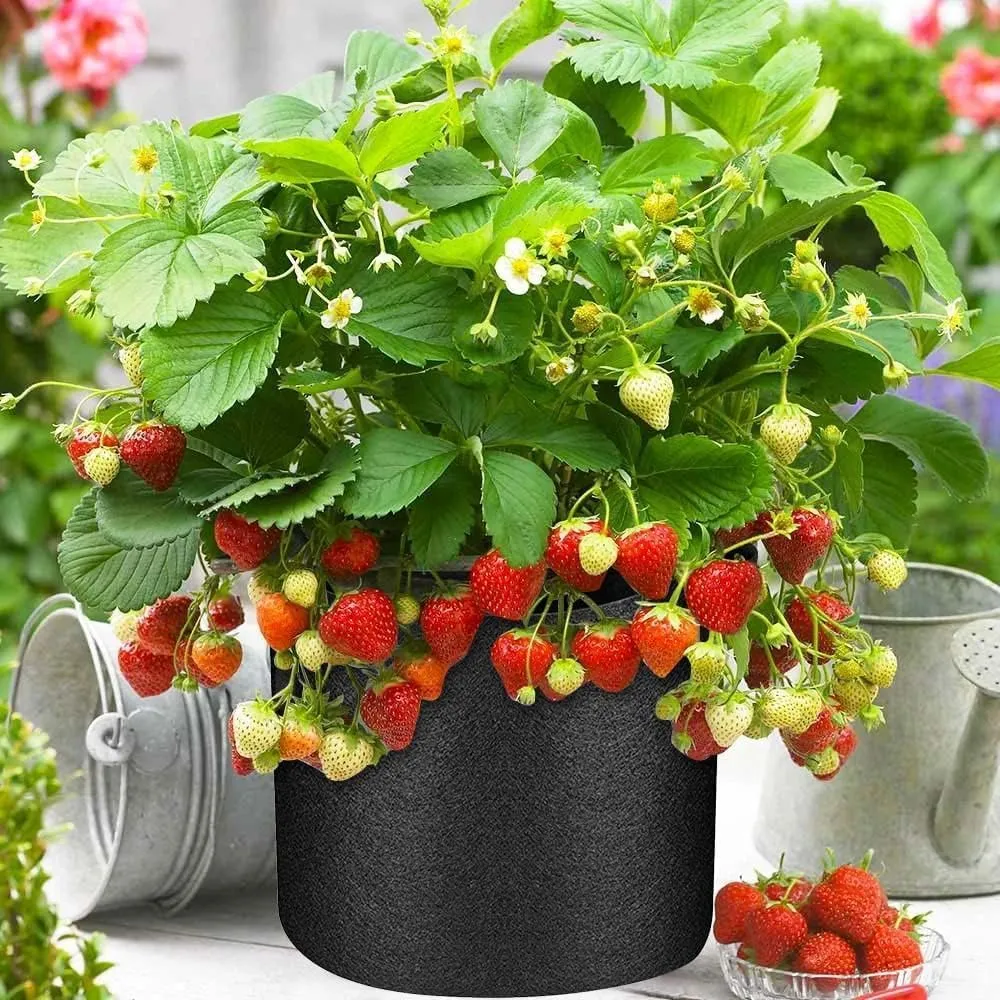 50 Pack 7 Gallon Grow Bags Bulk Heavy Duty Thickened Fabric Pots Nonwoven Plant Bags with Handles, Breathable Plant Growing Containers Bags for Garden Fruit Vegetable Flower