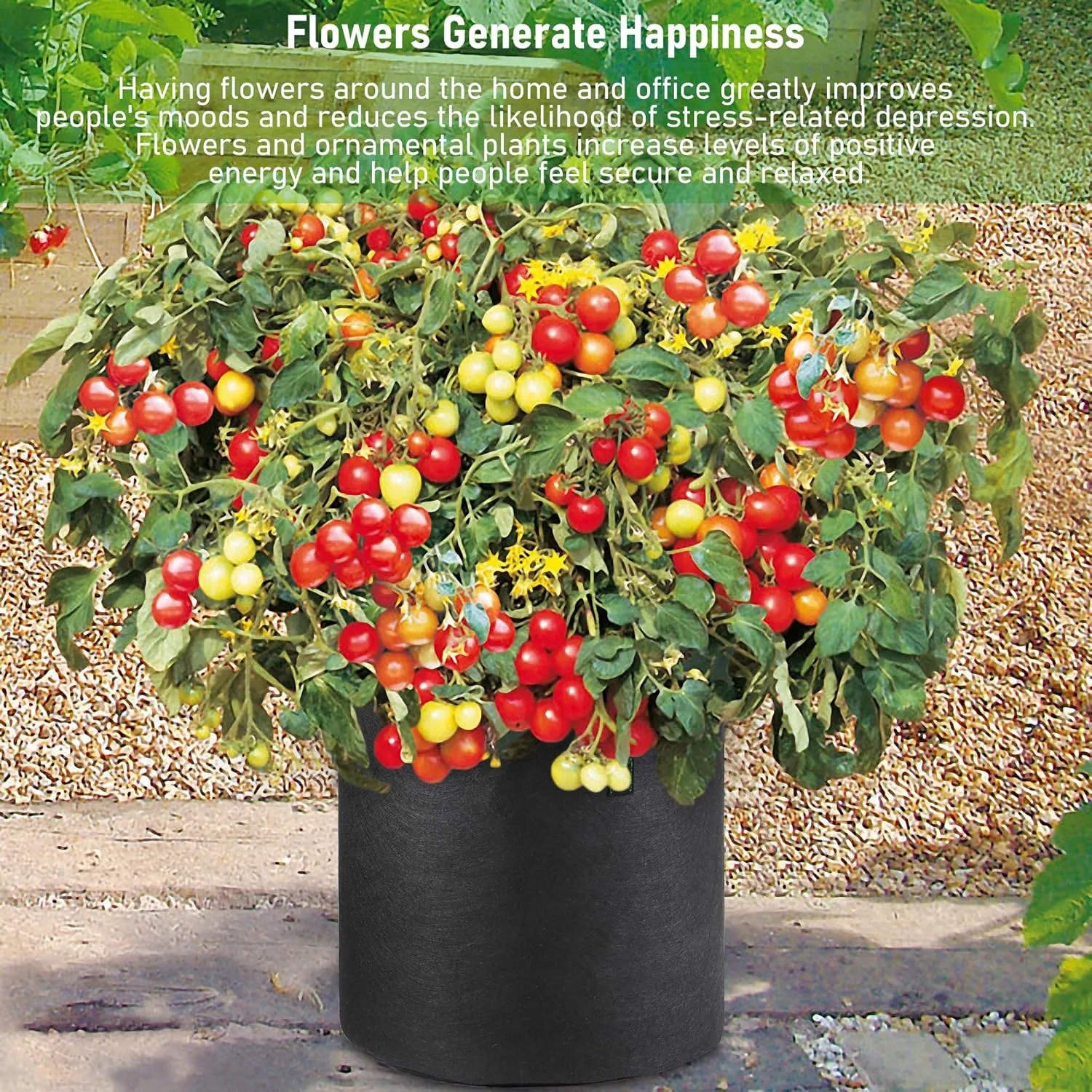7 US Gallon 8 Pack Tall Grow Bags for Vegetables, Heavy Duty Nonwoven Aeration Fabric Deep Grow Pots with Handles