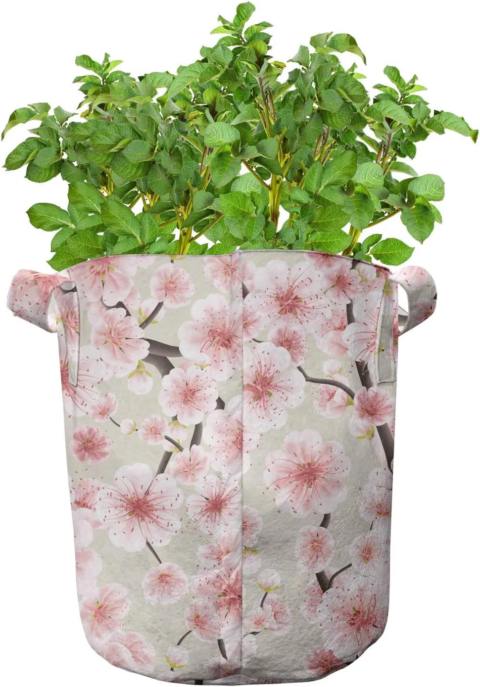 Ambesonne Cherry Blossom Grow Bags 5-Pack, Random Flourish, Heavyduty Fabric Pots with Handles for Plants, Coral Pale Green Brown