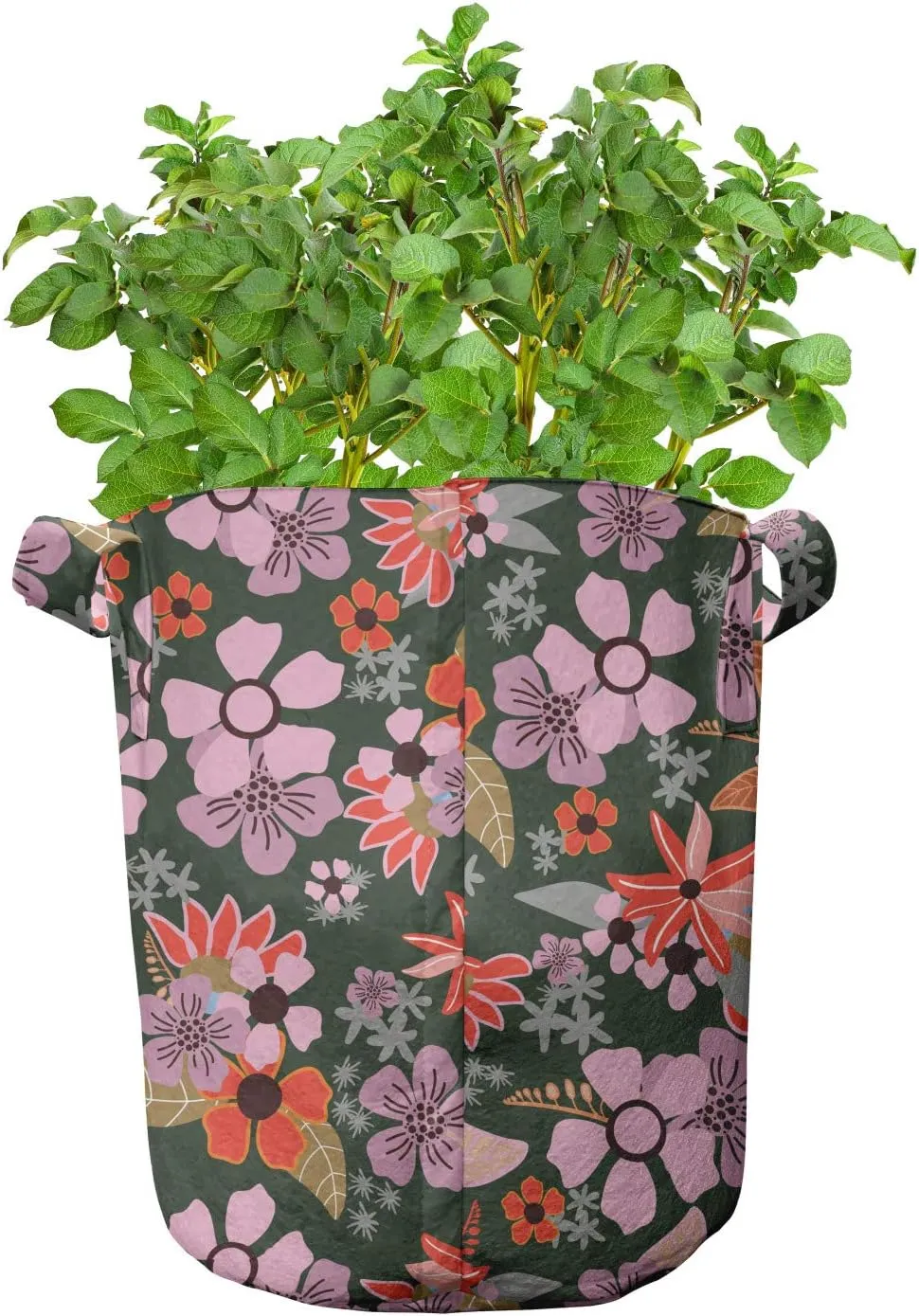 Ambesonne Meadow Grow Bags 5-Pack, Flourish Season Rural Blooms, Heavyduty Fabric Pots with Handles for Plants, Pale Pink Red Green
