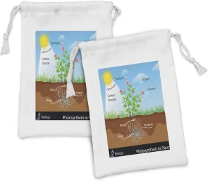 Ambesonne Science Fabric Pouch Set of 2, Photosynthesis in Plant Diagram Biology Botany Agriculture Environment Foliage, Small Drawstring Bag for Toiletries Masks and Favors, 9" x 6", Multicolor