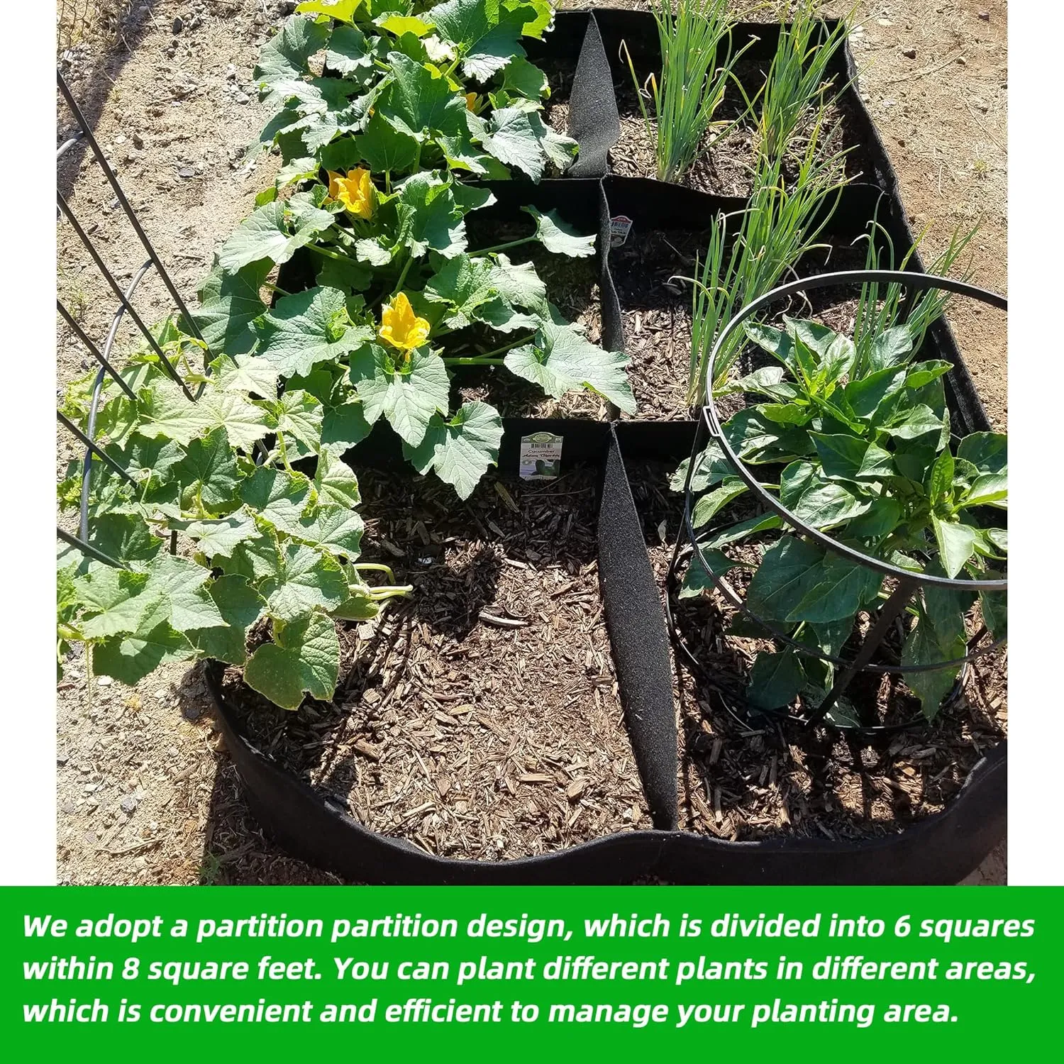 CJGQ Fabric Raised Garden Bed 4x2x1ft Garden Grow Bed Bags for Growing Herbs, Flowers and Vegetables 55 Gallon(2PACK)…