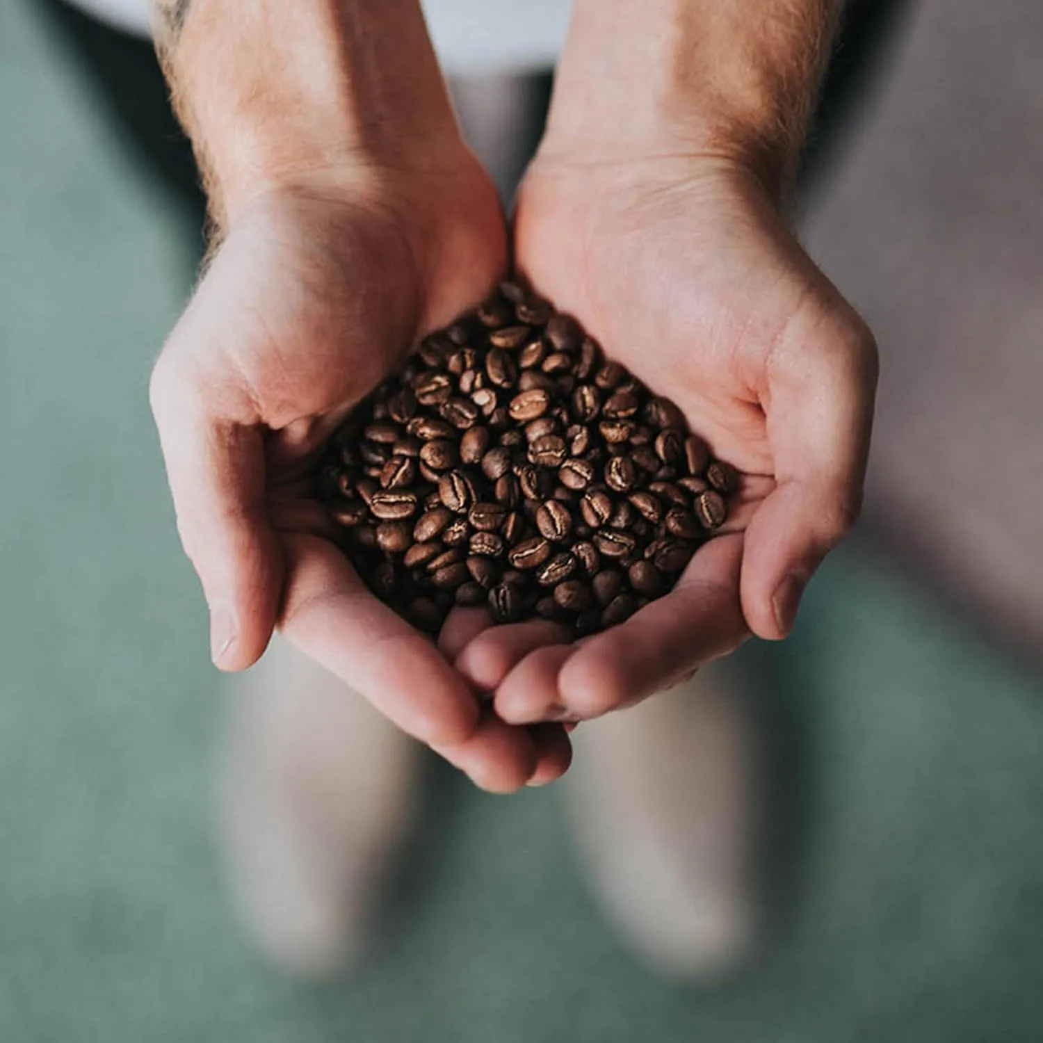 Coffee Bean Direct Hawaiian Kona Blend, Whole Bean Coffee, Light Roast, 5 Pound Bag (Pack of 1)