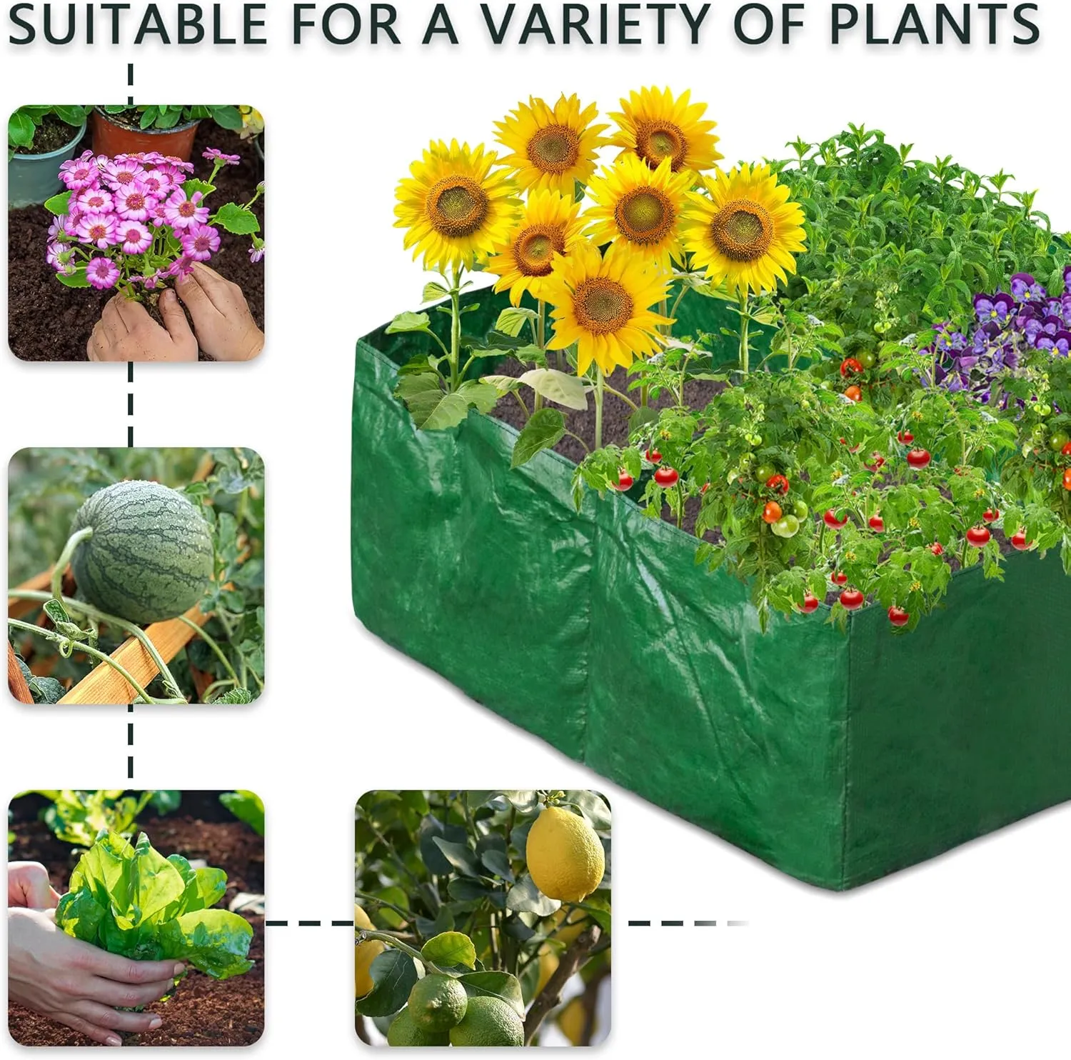Fabric Raised Garden Bed 4Grids, 2 Pack Total 70 Gallon Fabric Raised Planting Bed Garden Grow Bags Heavy Duty Breathable Raised Planter Container for Gardening Vegetables &Plants Outdoor