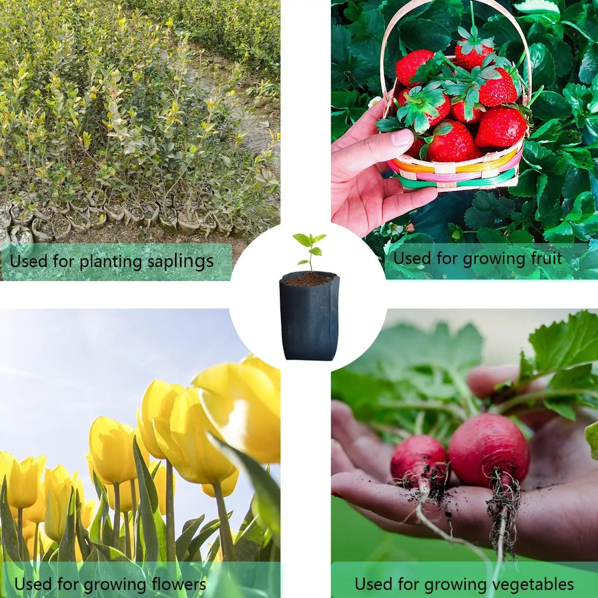 gardtree Plant Nursery Bags 7” x 7.87” 150PCS, Non-Woven Biodegradable Plant Grow Bags Fabric Seedling Starter Bags for Vegetable Flower Fruit Saplings Tree, Home Garden Supply
