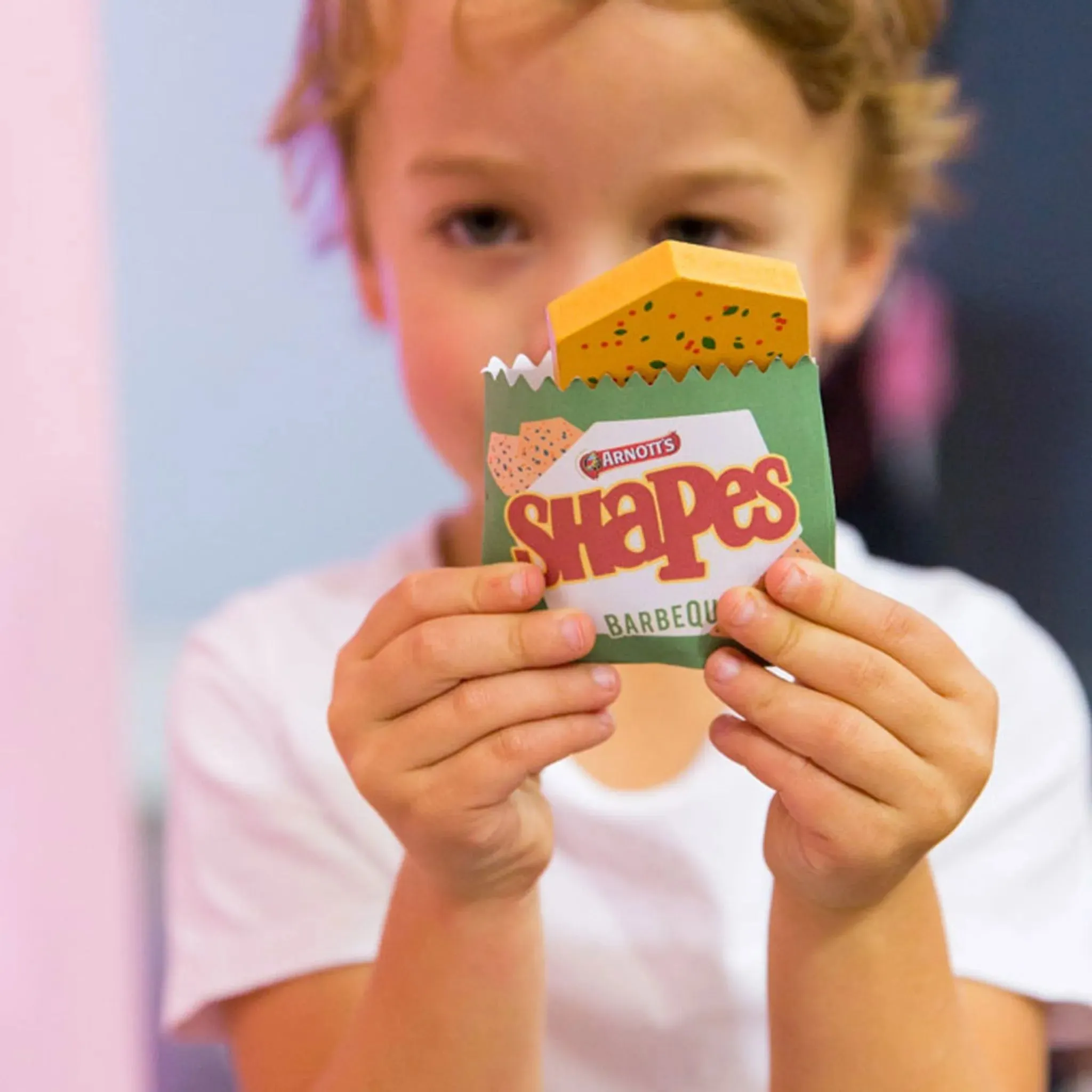 Iconic Toy - Arnott's Shapes