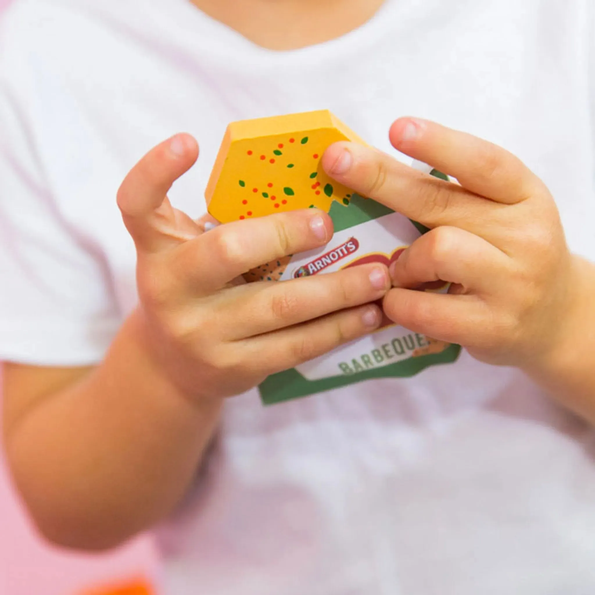 Iconic Toy - Arnott's Shapes