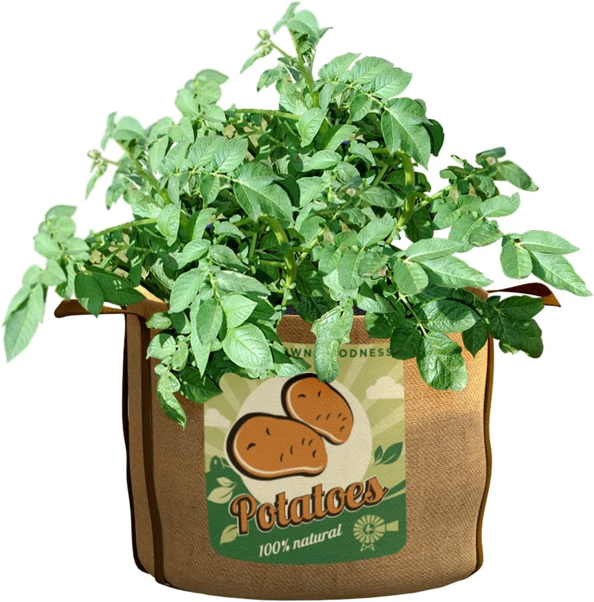 PANACEA PRODUCTS 30 gallon Grow Bag Potatoes - 84388