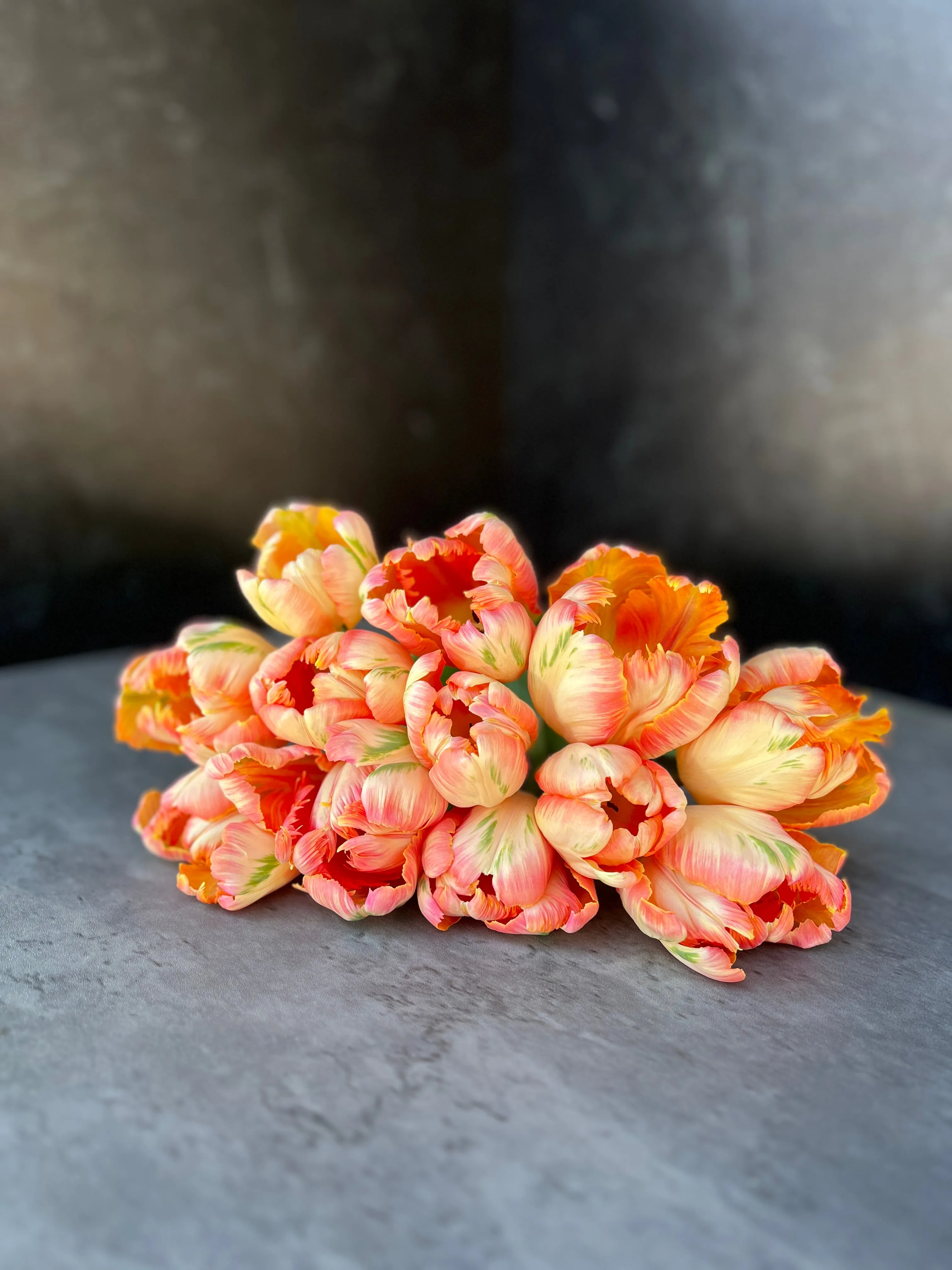Tulip-Apricot Parrot